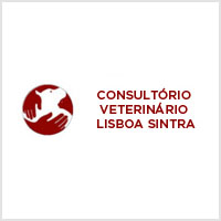 Consultório Veterinário Lisboa Sintra
